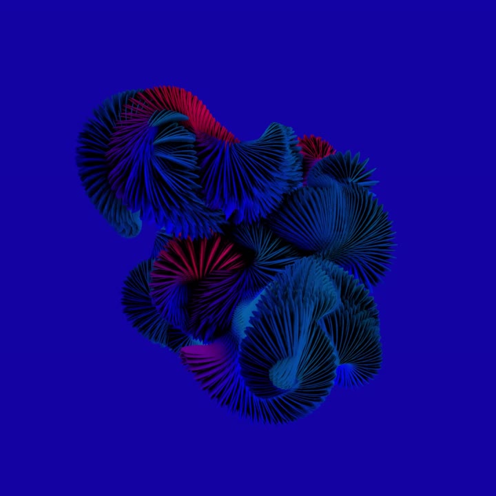 Colorful ribbon-like generative wings unfold against changing backgrounds